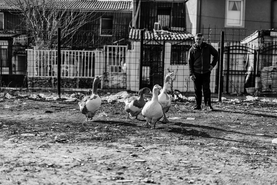 Skopje, North Macedonia 2016 — documentary photograph by Volkan Çolak